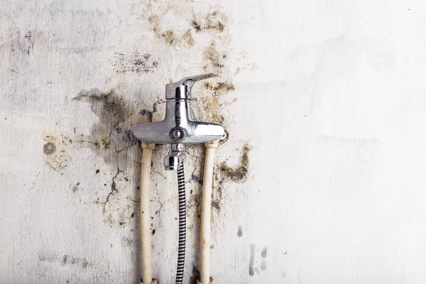 Best Mold Remediation for Specific Building Types in Lititz, PA